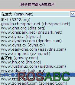 DDNS_1.png