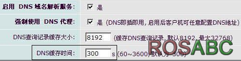 DDNS_7.png