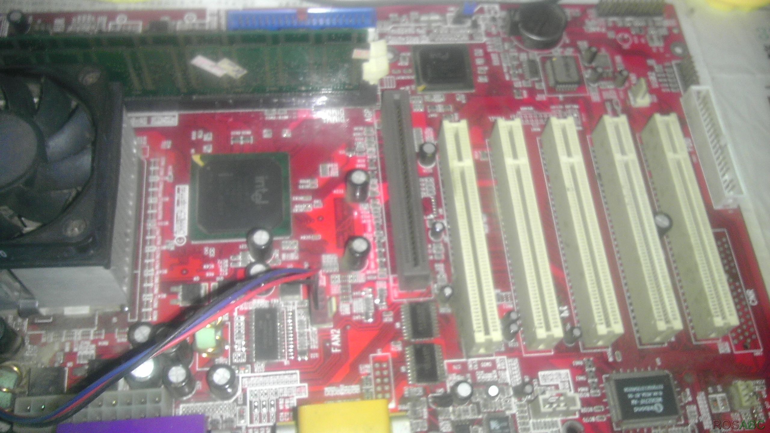 IMAG0133.jpg